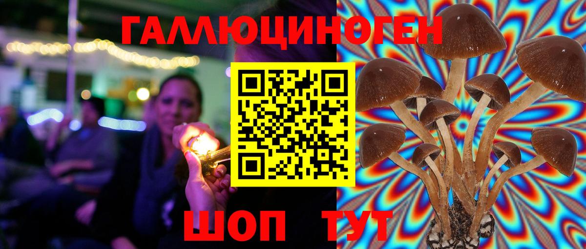 Псилоцибиновые грибы мицелий  Вход с VPN  Ставрополь 